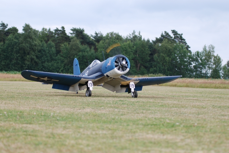 DSC_1230.JPG