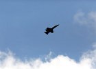 ST2A1029